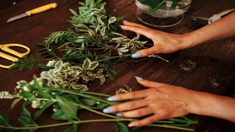 The Healing Herb: Unveiling the Medicinal Magic of Hemp