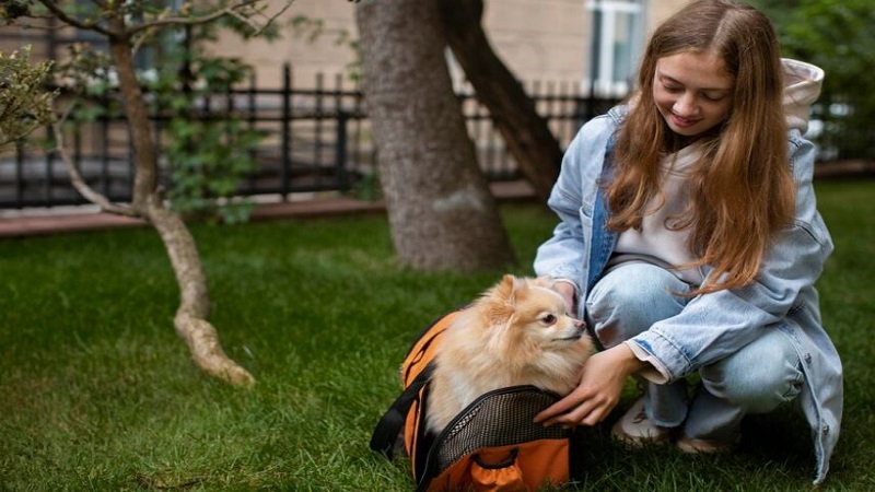 Honoring Beloved Pets: Planting a Pet Memorial Tree as a Lasting Tribute