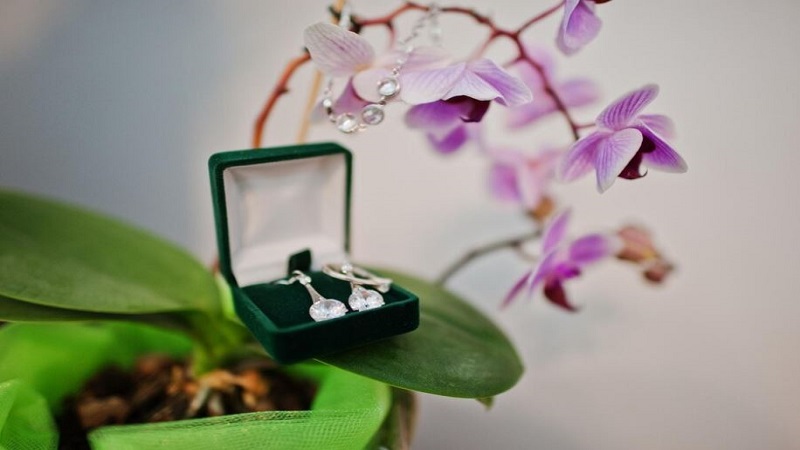 Affordable Emerald-Cut Engagement Rings at Rare Carat | Best Deals Online