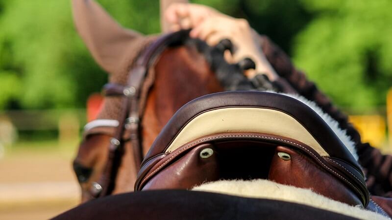 Horse Saddle Blanket: A manual to deciding on the correct healthy to your Horse