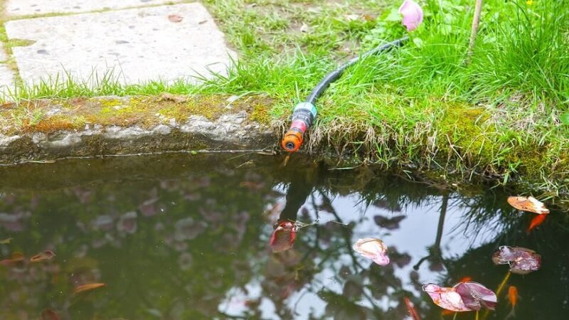 The Ultimate Guide to Pond Cleaning and Maintenance in Kent, London, and the South East