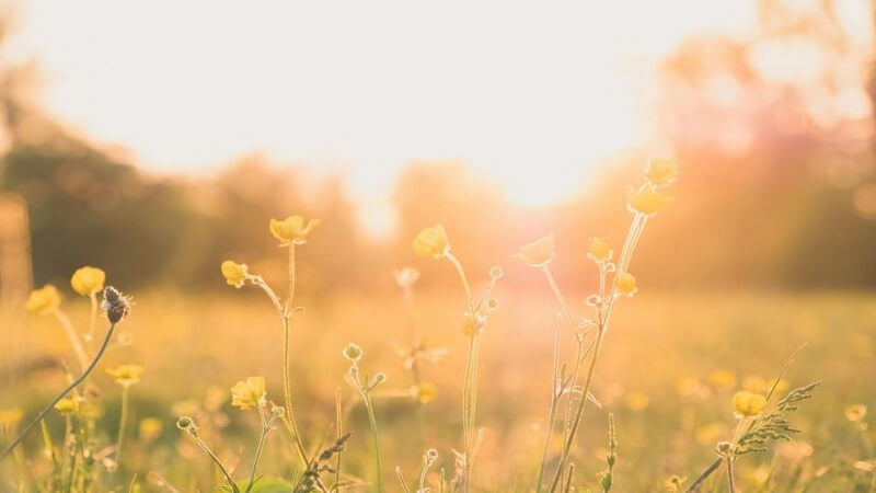 Hop Into Spring: How To Spruce Up Your Life in April